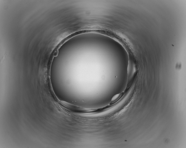 X0000091221457200708091358