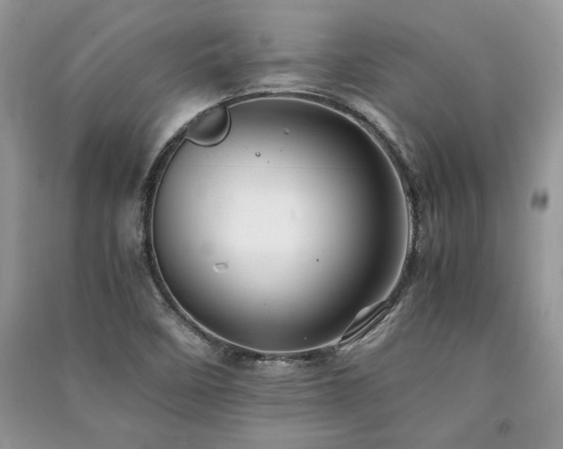 X0000091221458200708091358