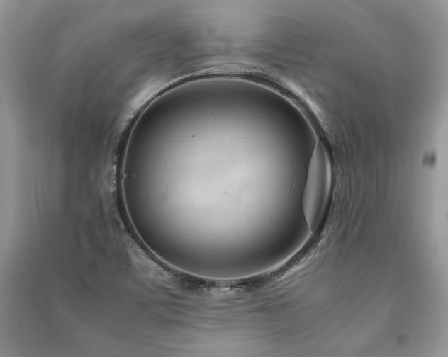 X0000091221459200708091358