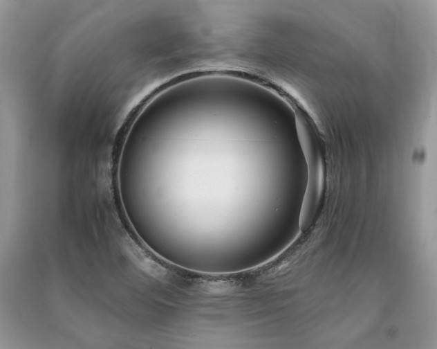 X0000091221460200708091358