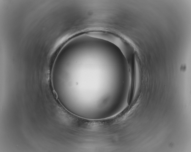 X0000091221461200708091358