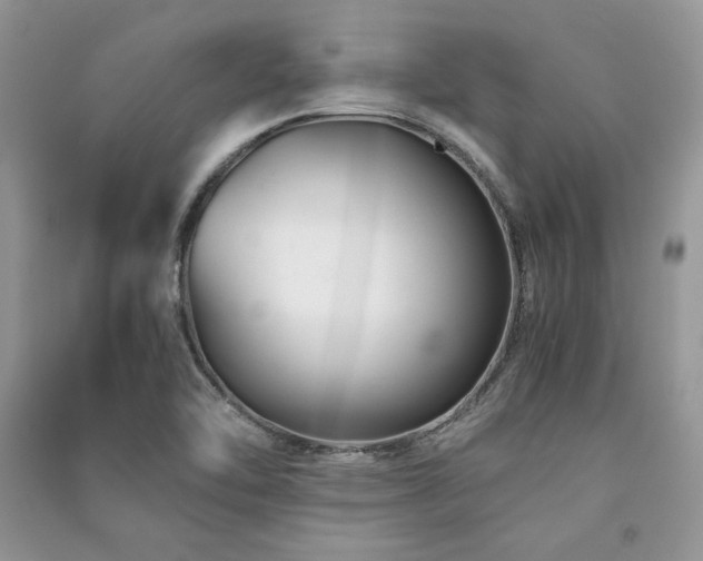 X0000091221462200708091357