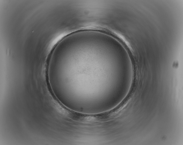 X0000091221463200708091357