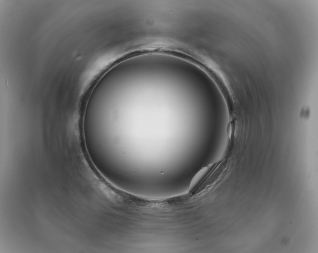 X0000091221464200708091357
