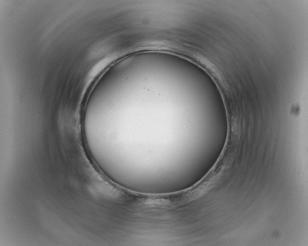 X0000091221466200708091357