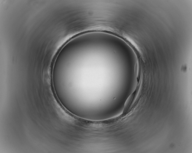 X0000091221468200708091357