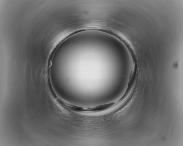 X0000091221469200708091357