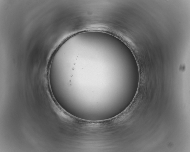 X0000091221470200708091357