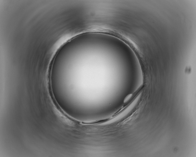 X0000091221471200708091357