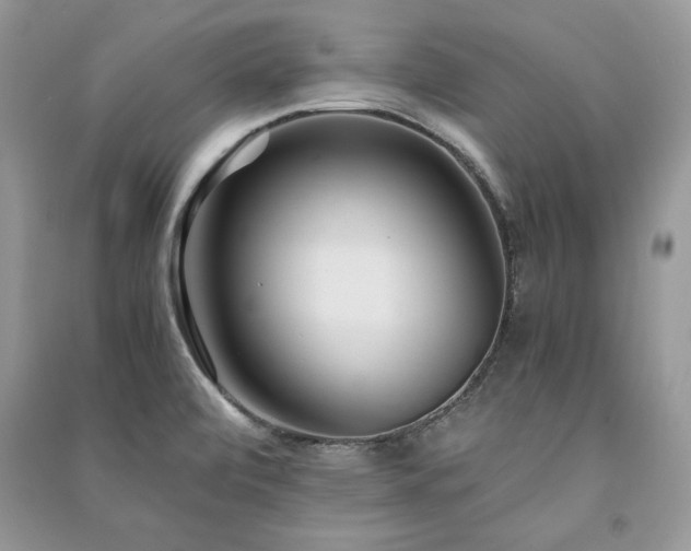 X0000091221472200708091357