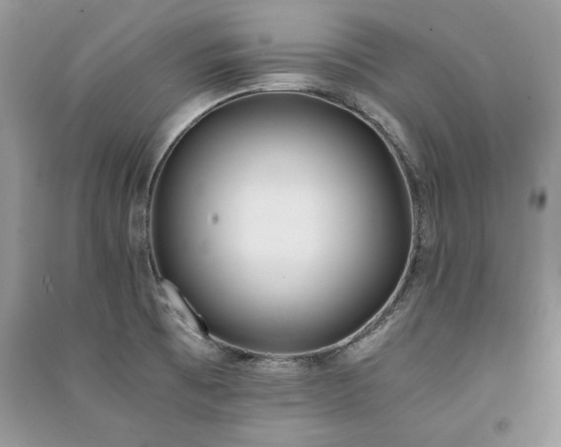 X0000091221473200708091357