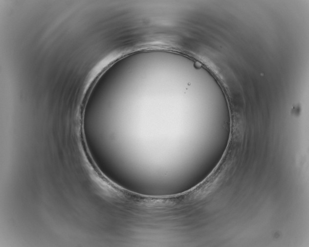 X0000091221474200708091357