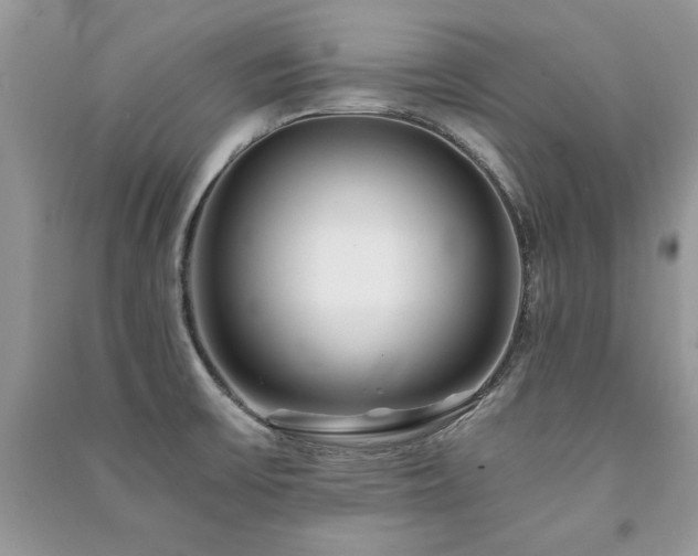 X0000091221475200708091357