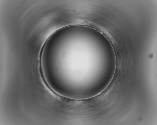X0000091221479200708091357