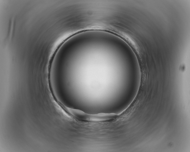 X0000091221480200708091357