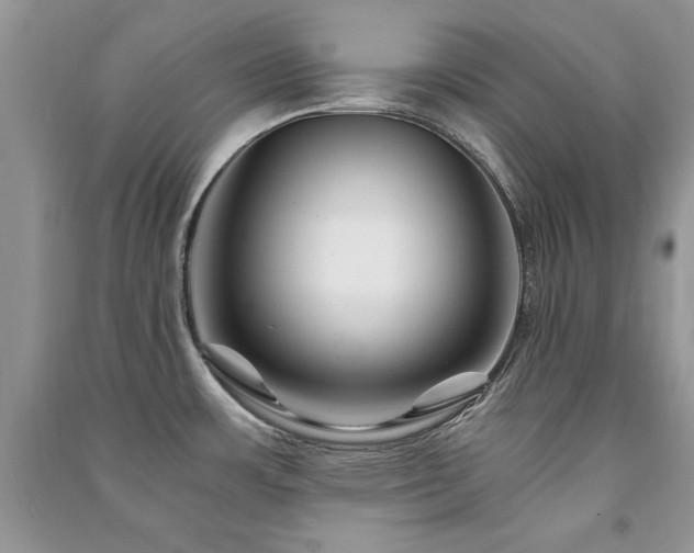 X0000091221483200708091357