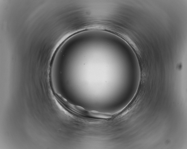 X0000091221484200708091357
