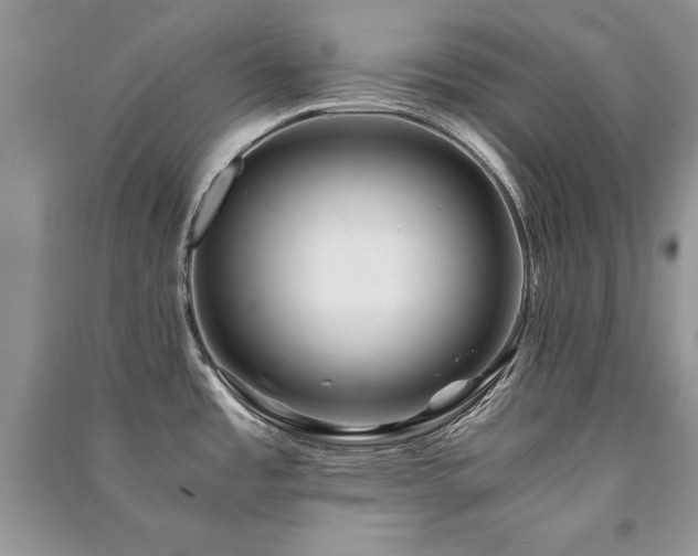 X0000091221485200708091357