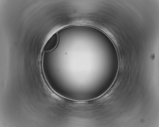 X0000091221486200708091357