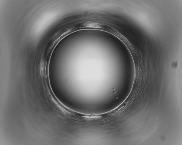 X0000091221487200708091357