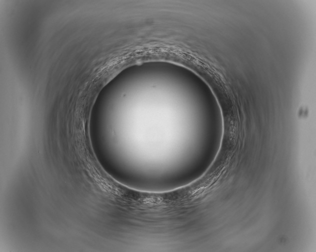 X0000091221489200708091356
