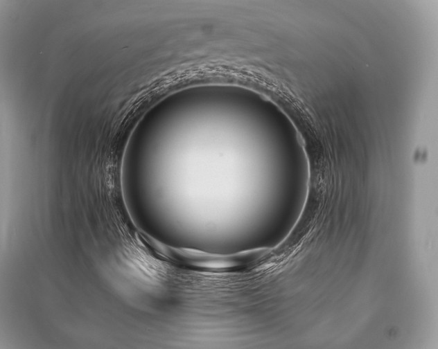 X0000091221490200708091356