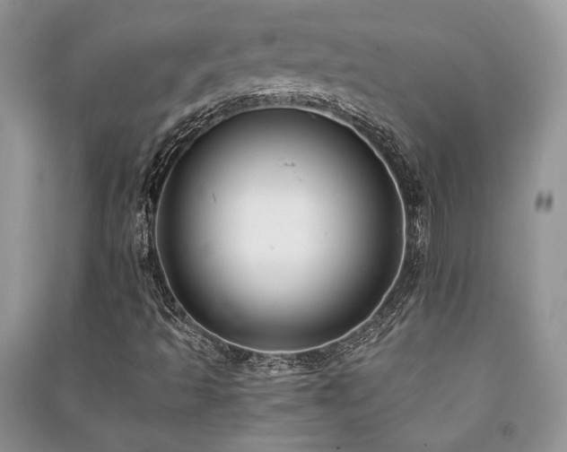 X0000091221493200708091356