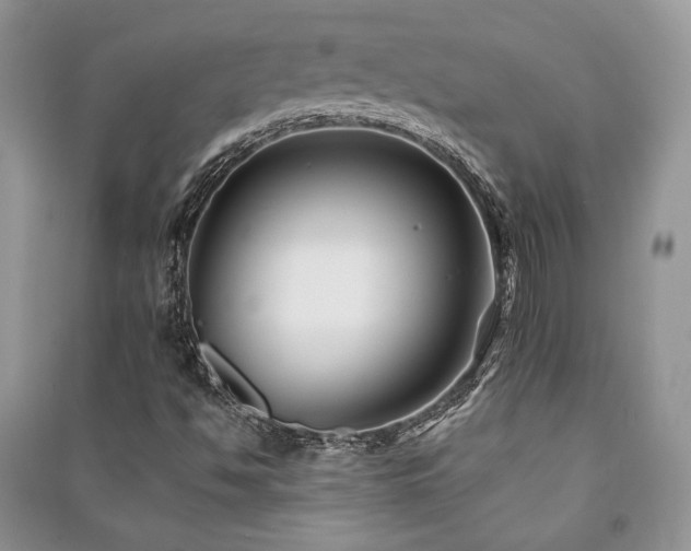 X0000091221494200708091356