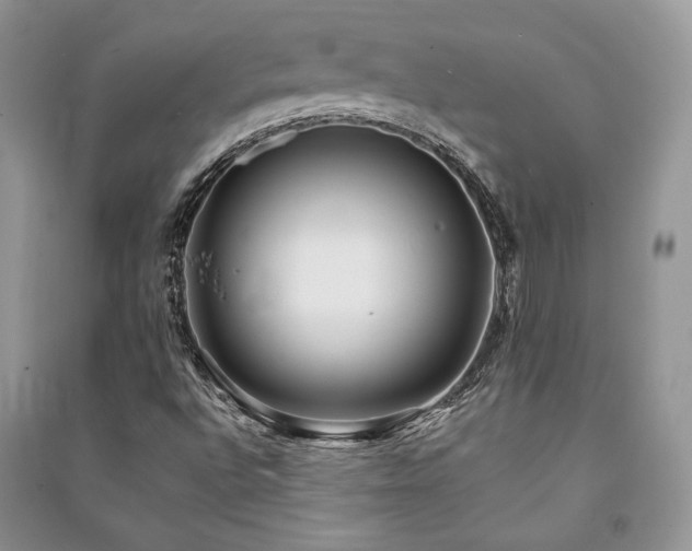 X0000091221496200708091356