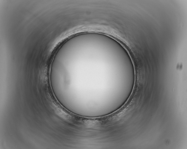 X0000091221498200708091357