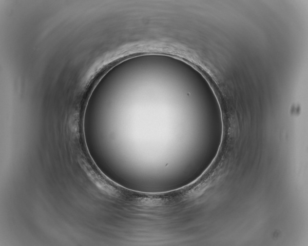 X0000091221499200708091357