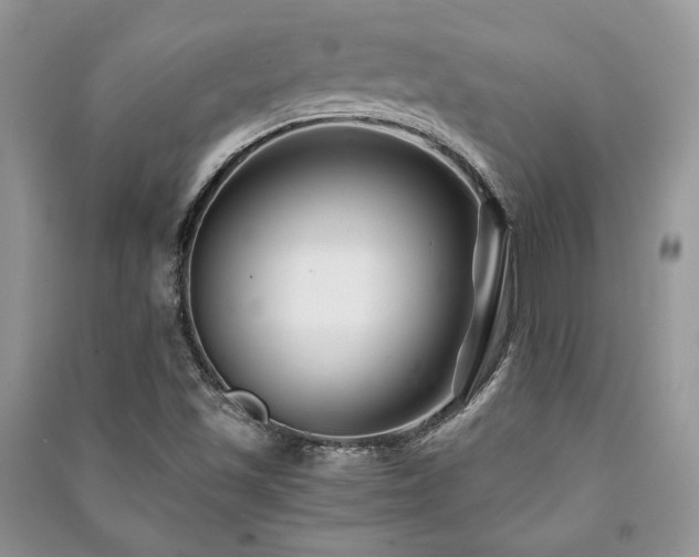 X0000091221501200708091357