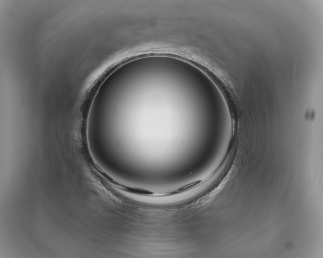 X0000091221502200708091357