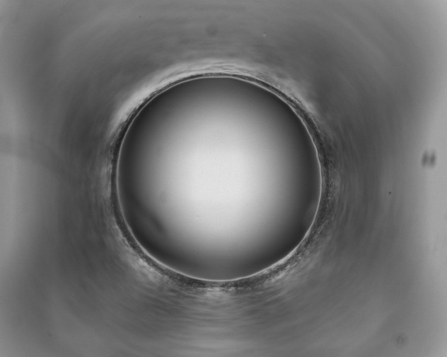 X0000091221504200708091357
