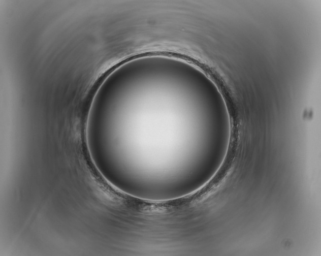 X0000091221505200708091357