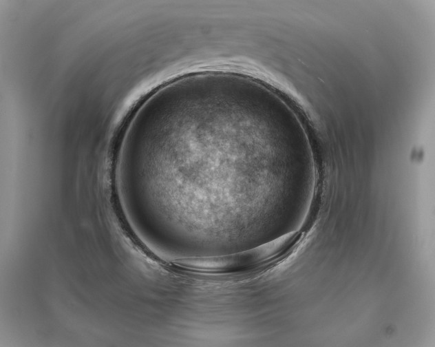 X0000091221506200708091357