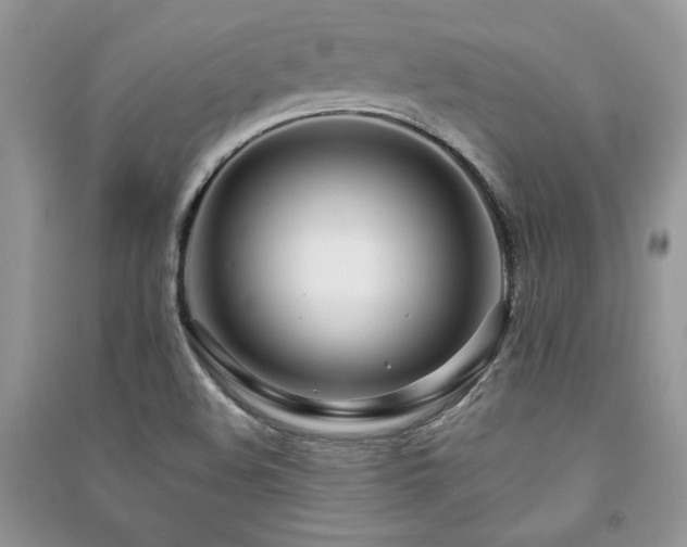 X0000091221508200708091357