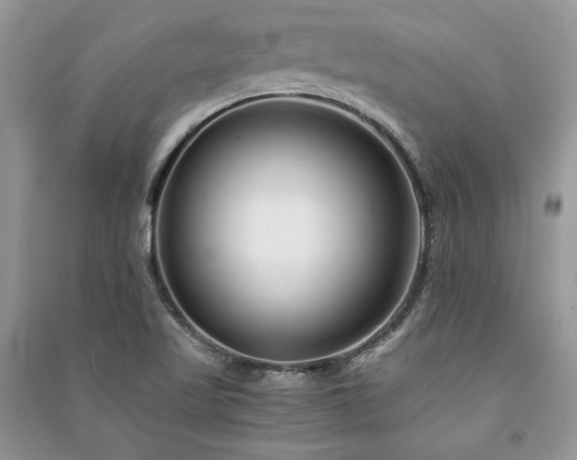 X0000091221509200708091357