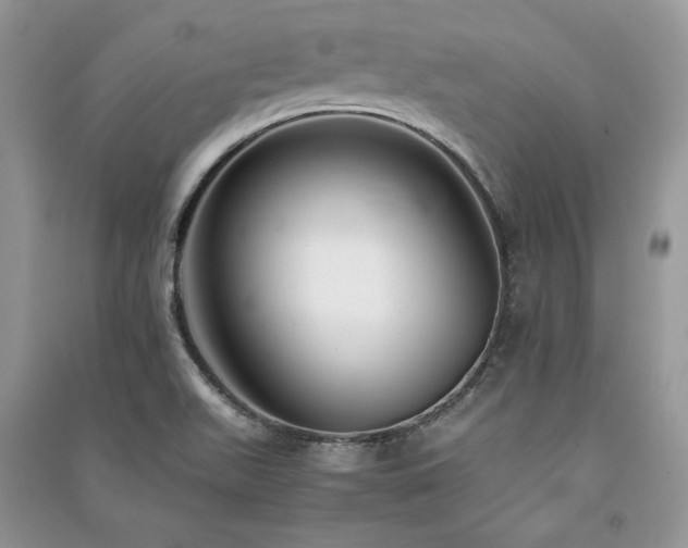 X0000091221511200708091357