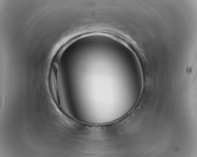 X0000091221512200708091357