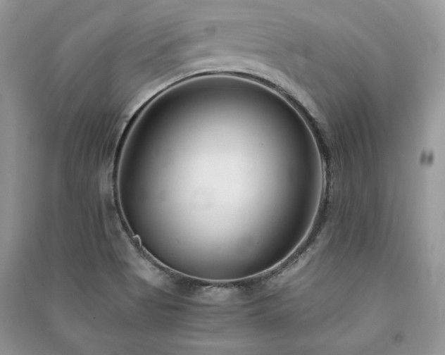 X0000091221513200708091357