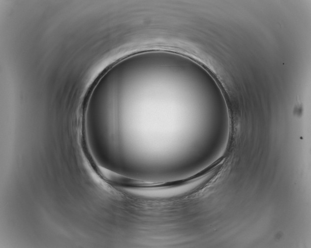 X0000091221515200708091357