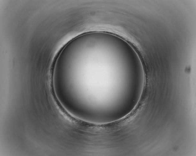 X0000091221517200708091357