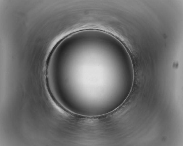X0000091221519200708091357
