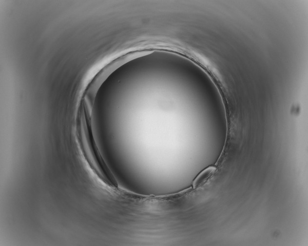 X0000091221520200708091357