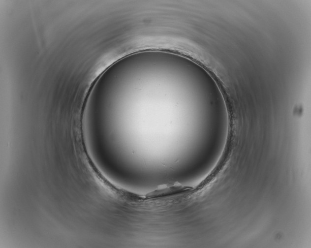 X0000091221521200708091357