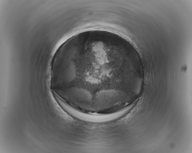 X0000091221522200708091357