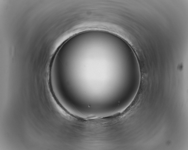 X0000091221523200708091357