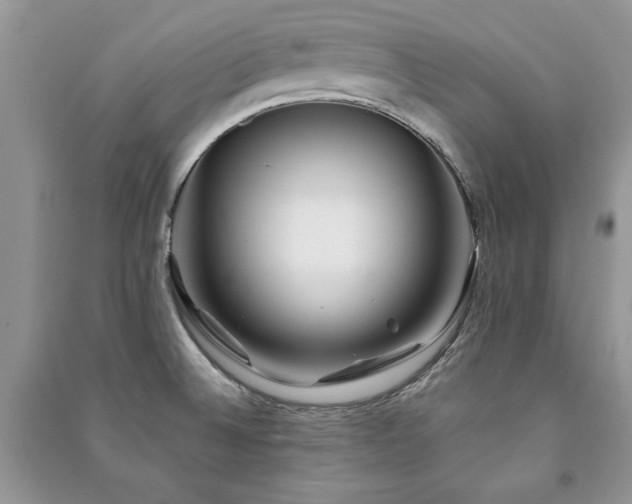 X0000091221524200708091357