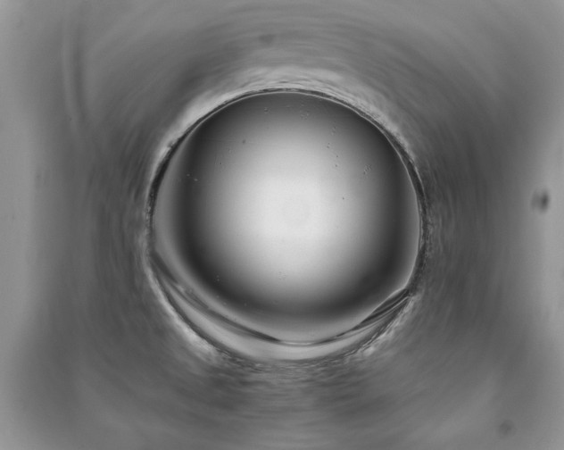 X0000091221525200708091357